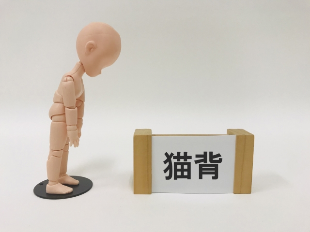 ダウンロード (2)