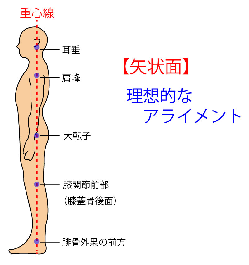 ダウンロード (4)